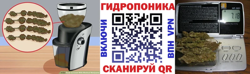 Cannafood марихуана  купить  цена  Новохопёрск 