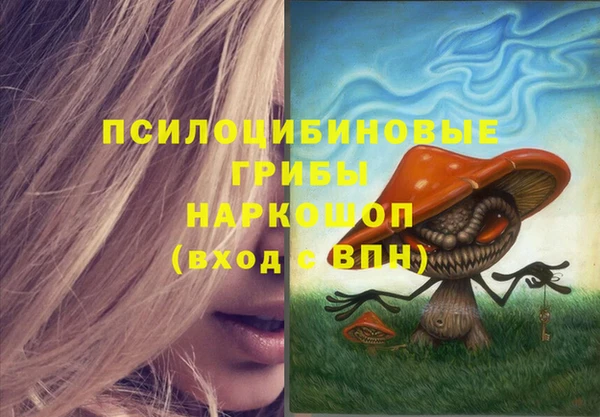 бошки Баксан