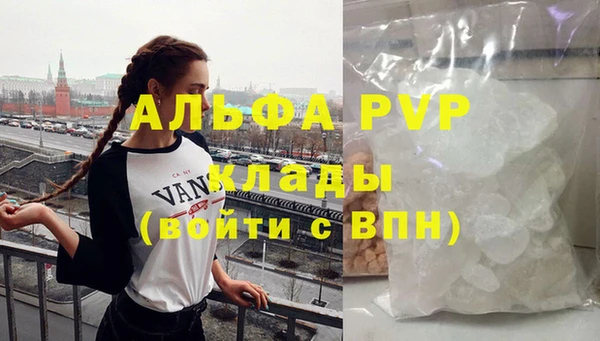 молекула духа Арсеньев